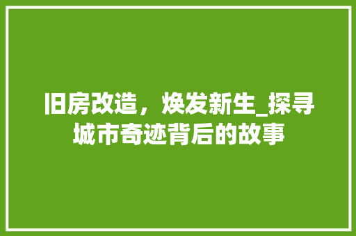 旧房改造，焕发新生_探寻城市奇迹背后的故事