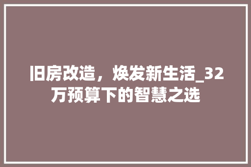 旧房改造，焕发新生活_32万预算下的智慧之选 综合便民