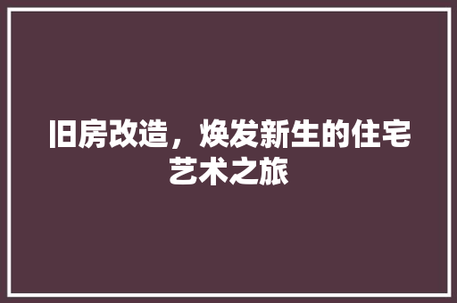 旧房改造，焕发新生的住宅艺术之旅 墙体维修