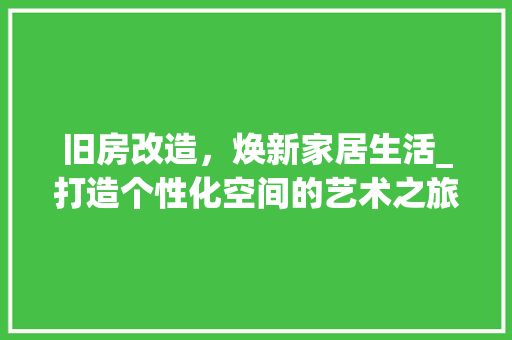 旧房改造，焕新家居生活_打造个性化空间的艺术之旅 家电维修