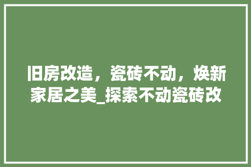 旧房改造，瓷砖不动，焕新家居之美_探索不动瓷砖改造的艺术与智慧 厨房维修