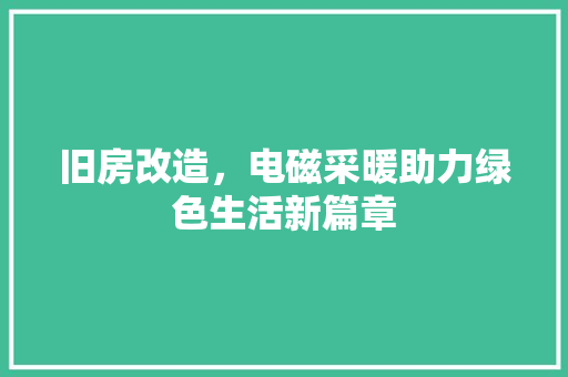 旧房改造，电磁采暖助力绿色生活新篇章