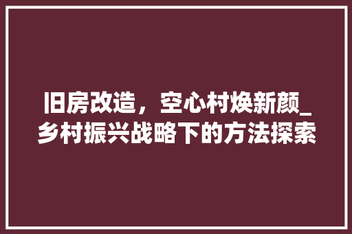 旧房改造，空心村焕新颜_乡村振兴战略下的方法探索 墙体维修