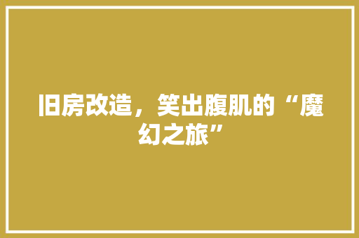 旧房改造，笑出腹肌的“魔幻之旅” 厨房维修