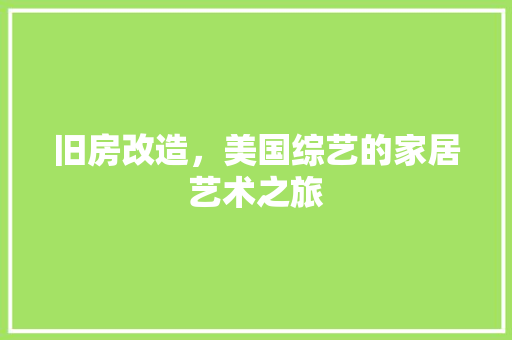 旧房改造，美国综艺的家居艺术之旅 汽车维修