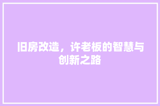 旧房改造，许老板的智慧与创新之路 厨房维修