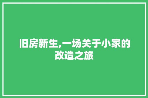 旧房新生,一场关于小家的改造之旅 墙体维修