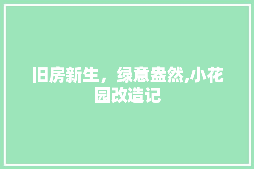 旧房新生，绿意盎然,小花园改造记 汽车维修