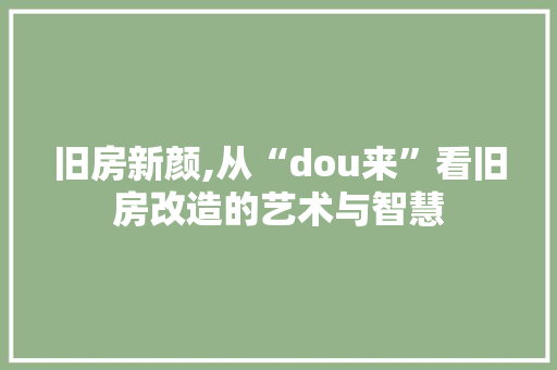 旧房新颜,从“dou来”看旧房改造的艺术与智慧 厨房维修