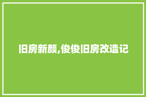 旧房新颜,俊俊旧房改造记 汽车维修