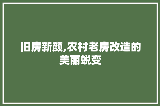 旧房新颜,农村老房改造的美丽蜕变 汽车维修