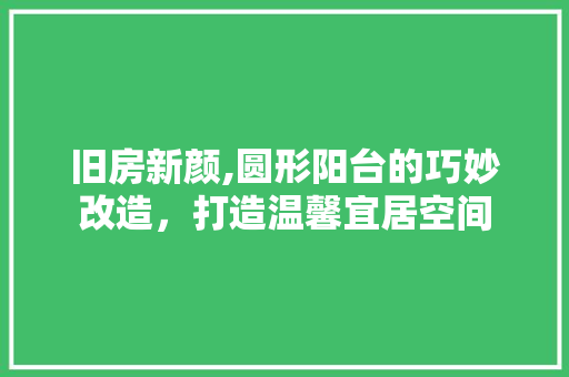旧房新颜,圆形阳台的巧妙改造，打造温馨宜居空间 厨房维修