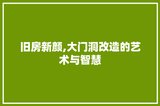 旧房新颜,大门洞改造的艺术与智慧 家电维修