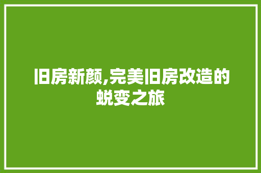 旧房新颜,完美旧房改造的蜕变之旅 综合便民