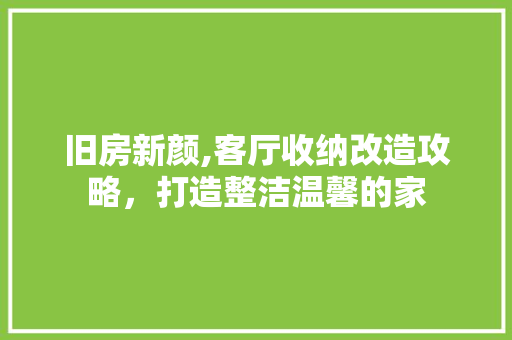 旧房新颜,客厅收纳改造攻略，打造整洁温馨的家 家电维修