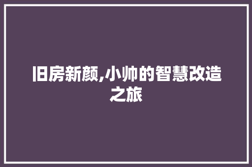 旧房新颜,小帅的智慧改造之旅 厨房维修