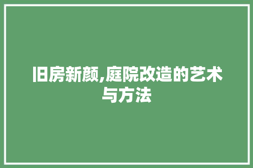 旧房新颜,庭院改造的艺术与方法 厨房维修