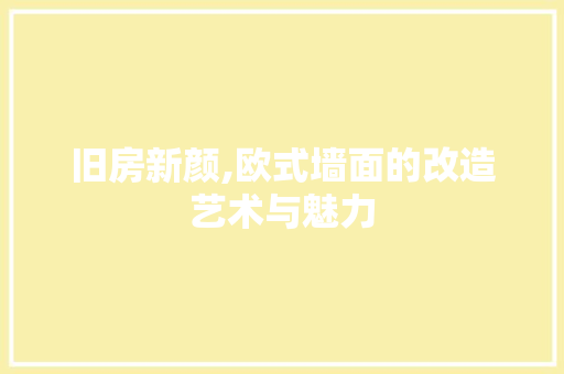 旧房新颜,欧式墙面的改造艺术与魅力 综合便民