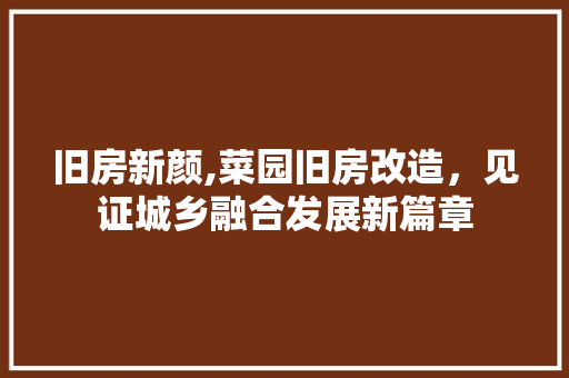 旧房新颜,菜园旧房改造，见证城乡融合发展新篇章 厨房维修