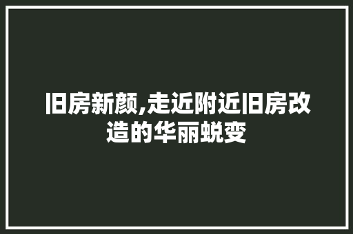 旧房新颜,走近附近旧房改造的华丽蜕变 厨房维修