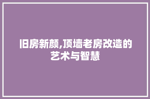 旧房新颜,顶墙老房改造的艺术与智慧
