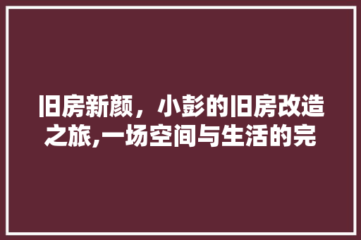旧房新颜，小彭的旧房改造之旅,一场空间与生活的完美融合 汽车维修