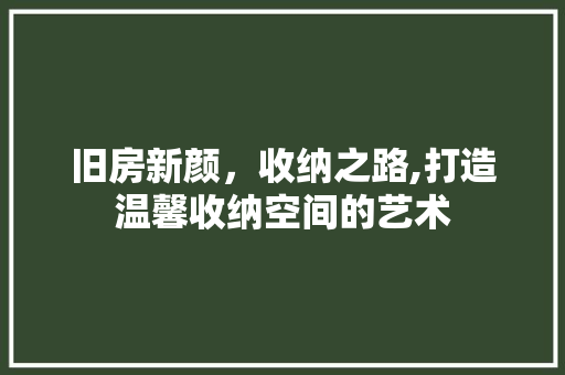 旧房新颜，收纳之路,打造温馨收纳空间的艺术 墙体维修