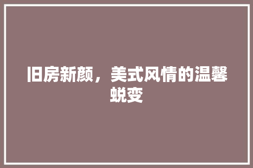 旧房新颜，美式风情的温馨蜕变 厨房维修