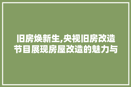 旧房焕新生,央视旧房改造节目展现房屋改造的魅力与智慧
