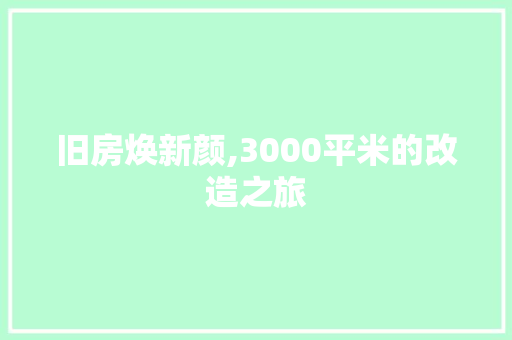 旧房焕新颜,3000平米的改造之旅