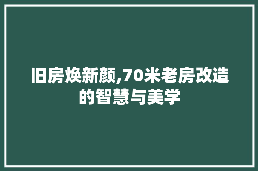 旧房焕新颜,70米老房改造的智慧与美学