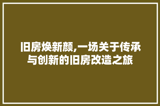 旧房焕新颜,一场关于传承与创新的旧房改造之旅 墙体维修