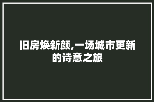 旧房焕新颜,一场城市更新的诗意之旅 综合便民