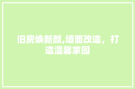 旧房焕新颜,墙面改造，打造温馨家园 汽车维修