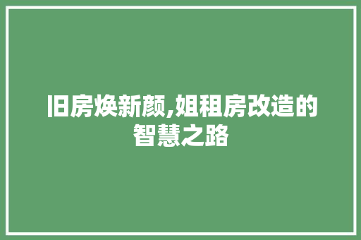 旧房焕新颜,姐租房改造的智慧之路 厨房维修