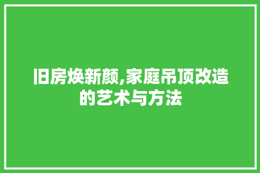 旧房焕新颜,家庭吊顶改造的艺术与方法 墙体维修