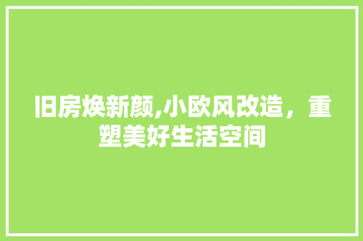 旧房焕新颜,小欧风改造，重塑美好生活空间 墙体维修