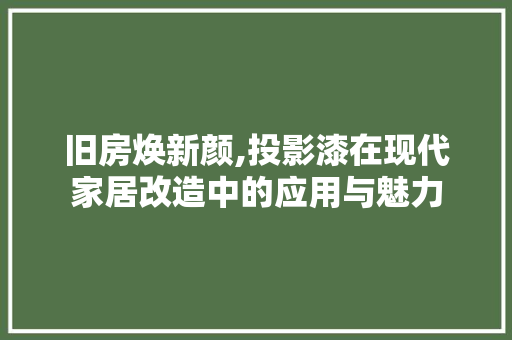 旧房焕新颜,投影漆在现代家居改造中的应用与魅力 墙体维修