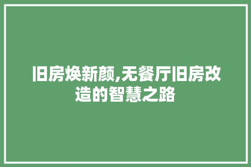 旧房焕新颜,无餐厅旧房改造的智慧之路 墙体维修