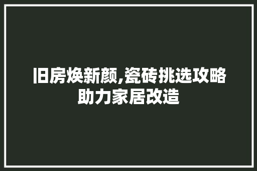 旧房焕新颜,瓷砖挑选攻略助力家居改造