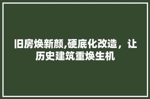 旧房焕新颜,硬底化改造，让历史建筑重焕生机 家电维修