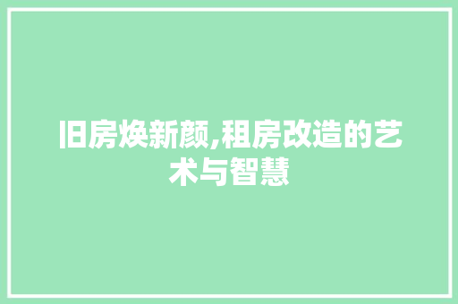 旧房焕新颜,租房改造的艺术与智慧
