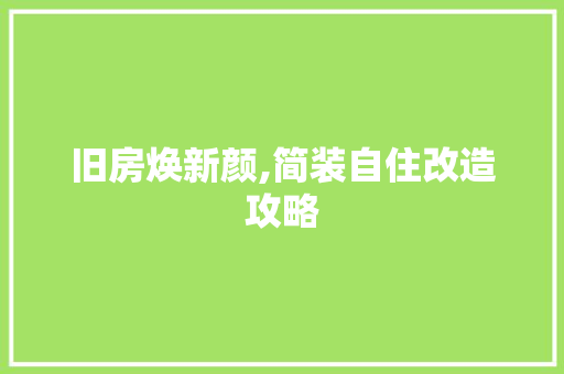 旧房焕新颜,简装自住改造攻略 综合便民