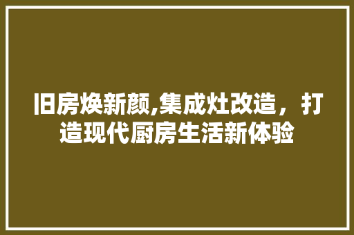 旧房焕新颜,集成灶改造，打造现代厨房生活新体验 家电维修