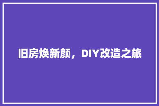 旧房焕新颜，DIY改造之旅 家电维修