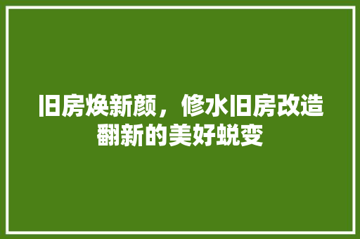 旧房焕新颜，修水旧房改造翻新的美好蜕变
