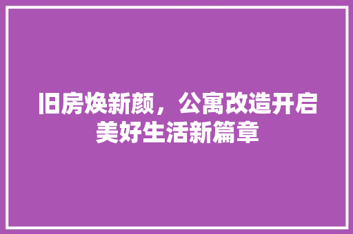 旧房焕新颜，公寓改造开启美好生活新篇章
