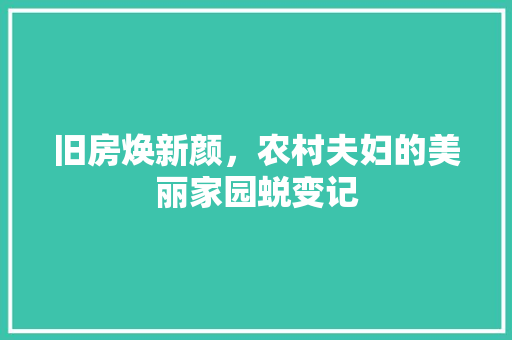 旧房焕新颜，农村夫妇的美丽家园蜕变记 厨房维修