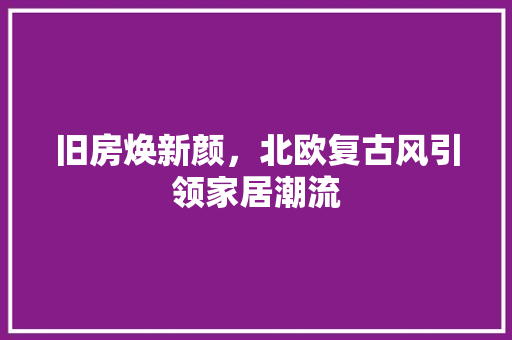 旧房焕新颜，北欧复古风引领家居潮流 厨房维修