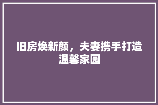 旧房焕新颜，夫妻携手打造温馨家园 综合便民